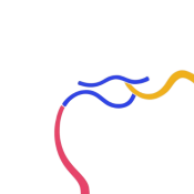 Bottom Right Border Line
