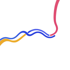 Top Border Line